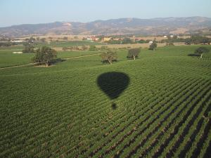 courtesy sloballoon.com